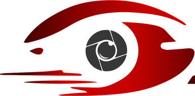 Vigilantyx